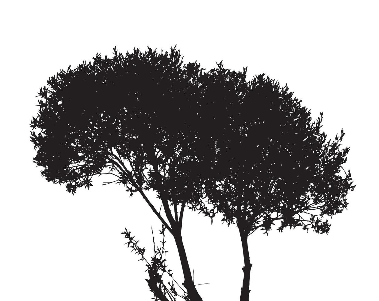 Tree Silhouette Isolated on White Backgorund. Vecrtor Illustrati vector