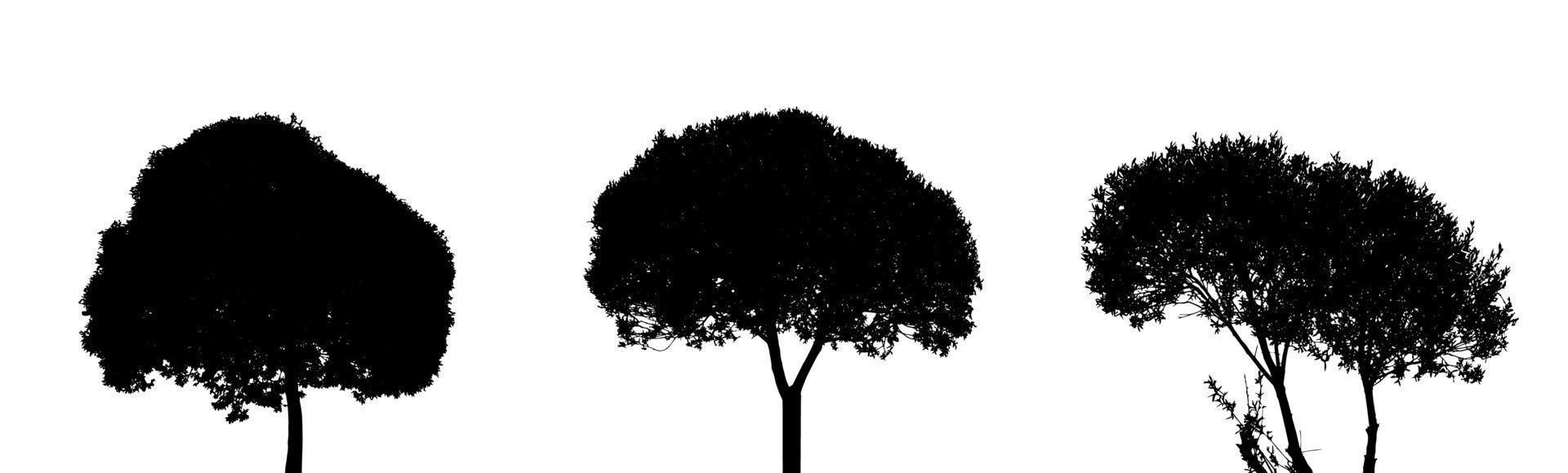 conjunto de silueta de árbol aislado sobre fondo blanco. vecrtor enfermo vector