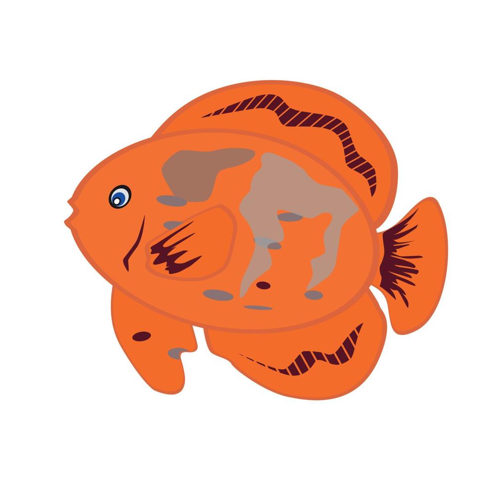 Orange Fish Isolated on White Background. Vector Illustration. E