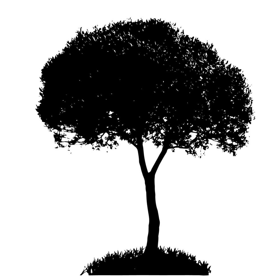 Tree Silhouette Isolated on White Backgorund. Vecrtor Illustrati vector