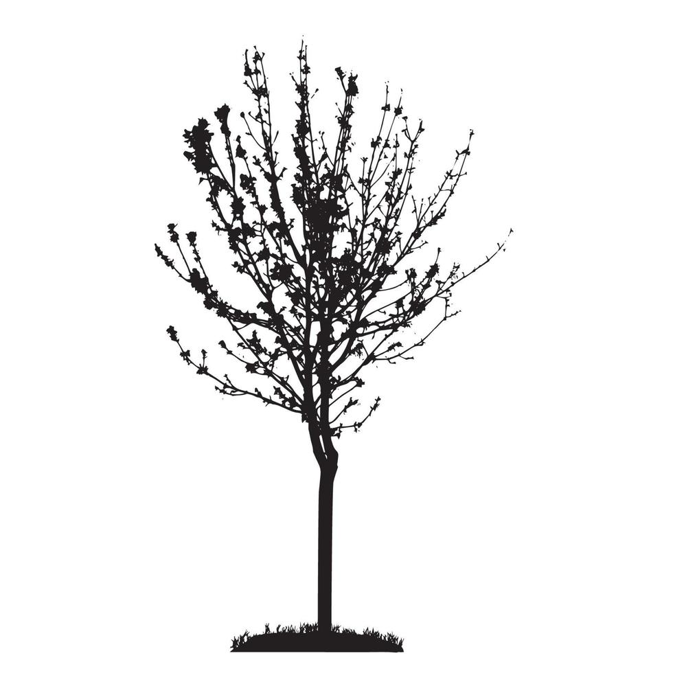 Tree Silhouette Isolated on White Backgorund. Vecrtor Illustrati vector