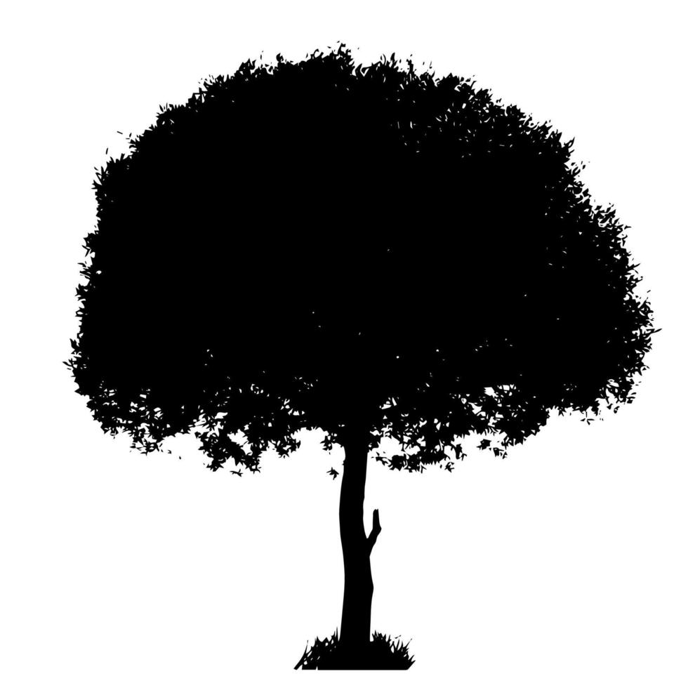 Tree Silhouette Isolated on White Backgorund. Vecrtor Illustrati vector