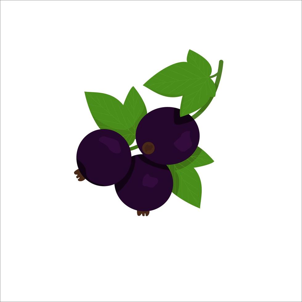 Ripe black currant with green leaves. Flat vector illustration