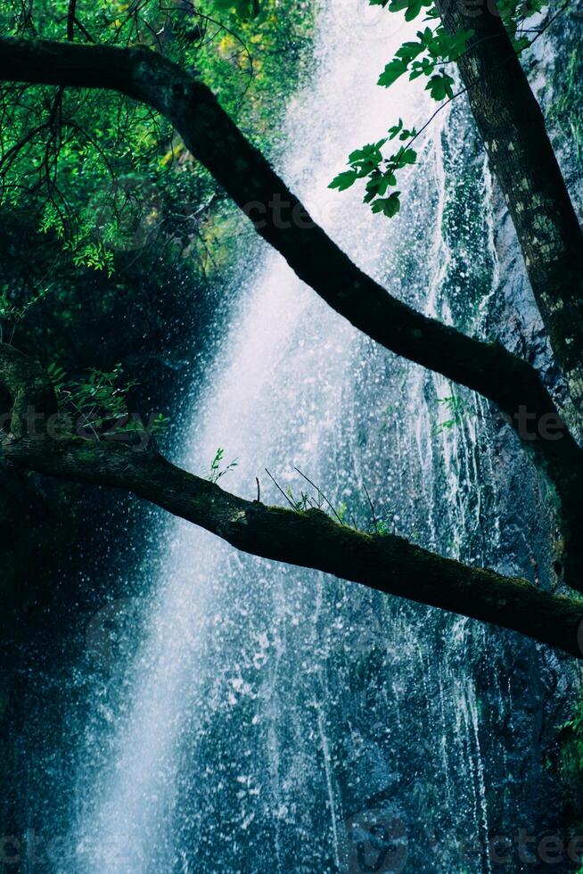 Hermosa cascada verde en el bosque verde en la jungla consisten en agua foto