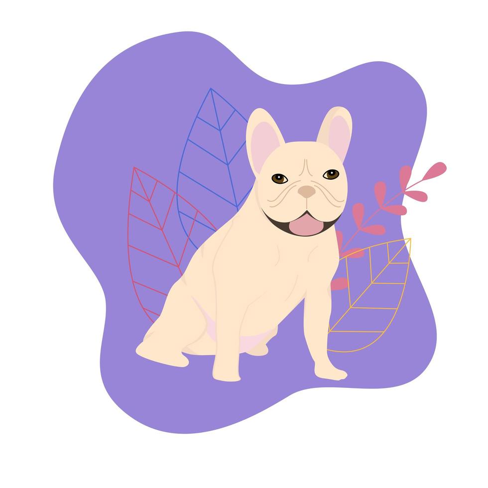 bulldog francés sobre un fondo morado. ilustración vectorial plana vector