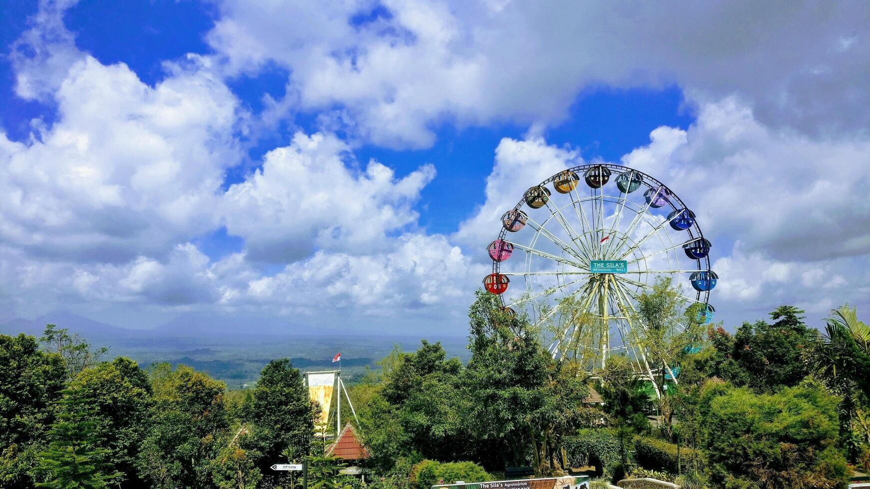 blue sky with lots of plants and Ferris wheel photo