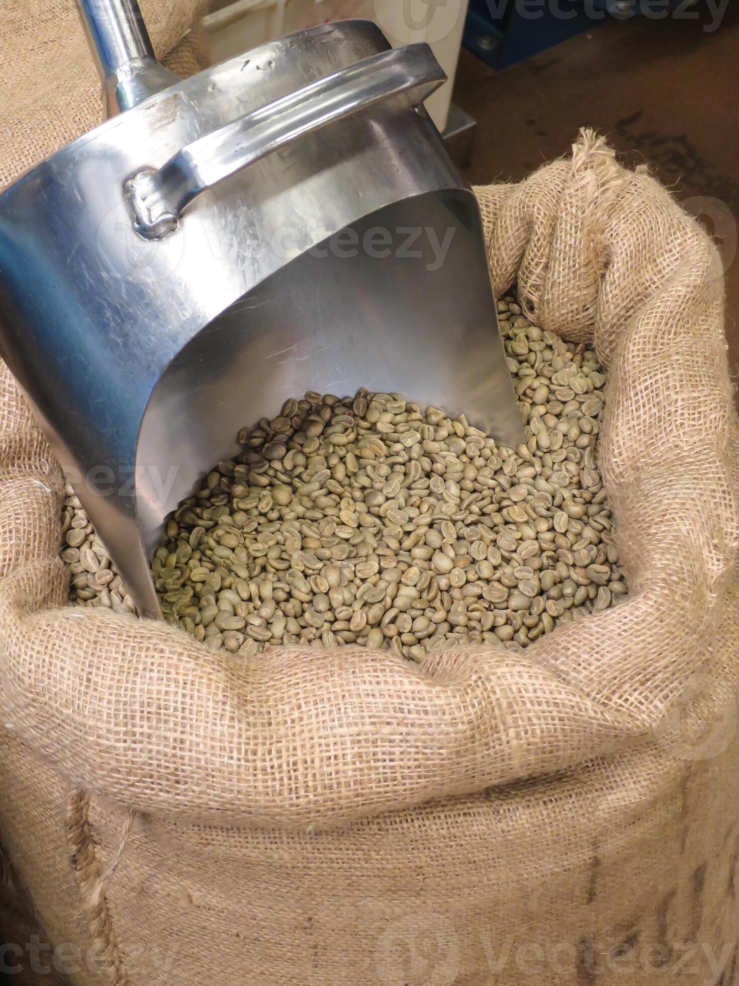 green coffee beans in a sack with a coffee spoon 4669107 Stock Photo at