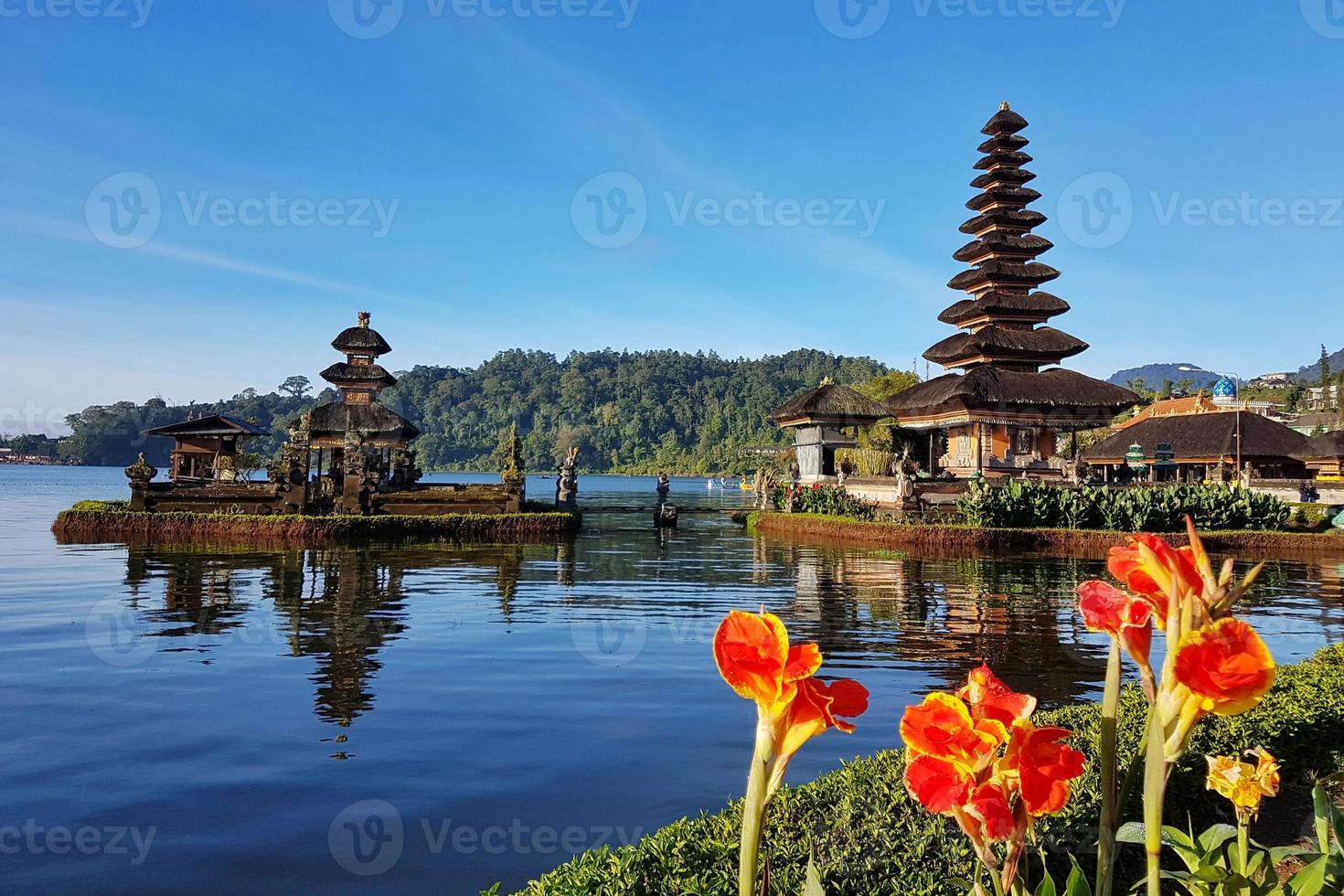 dos templos en el lago con flores y una colina. foto