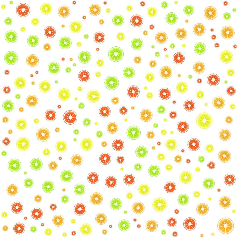 Multicolored Orange fruit background vector