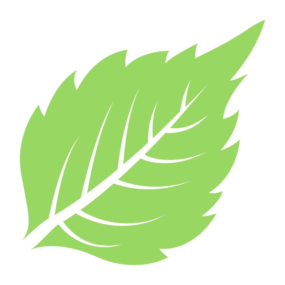 Birch Leaf Concepts vector