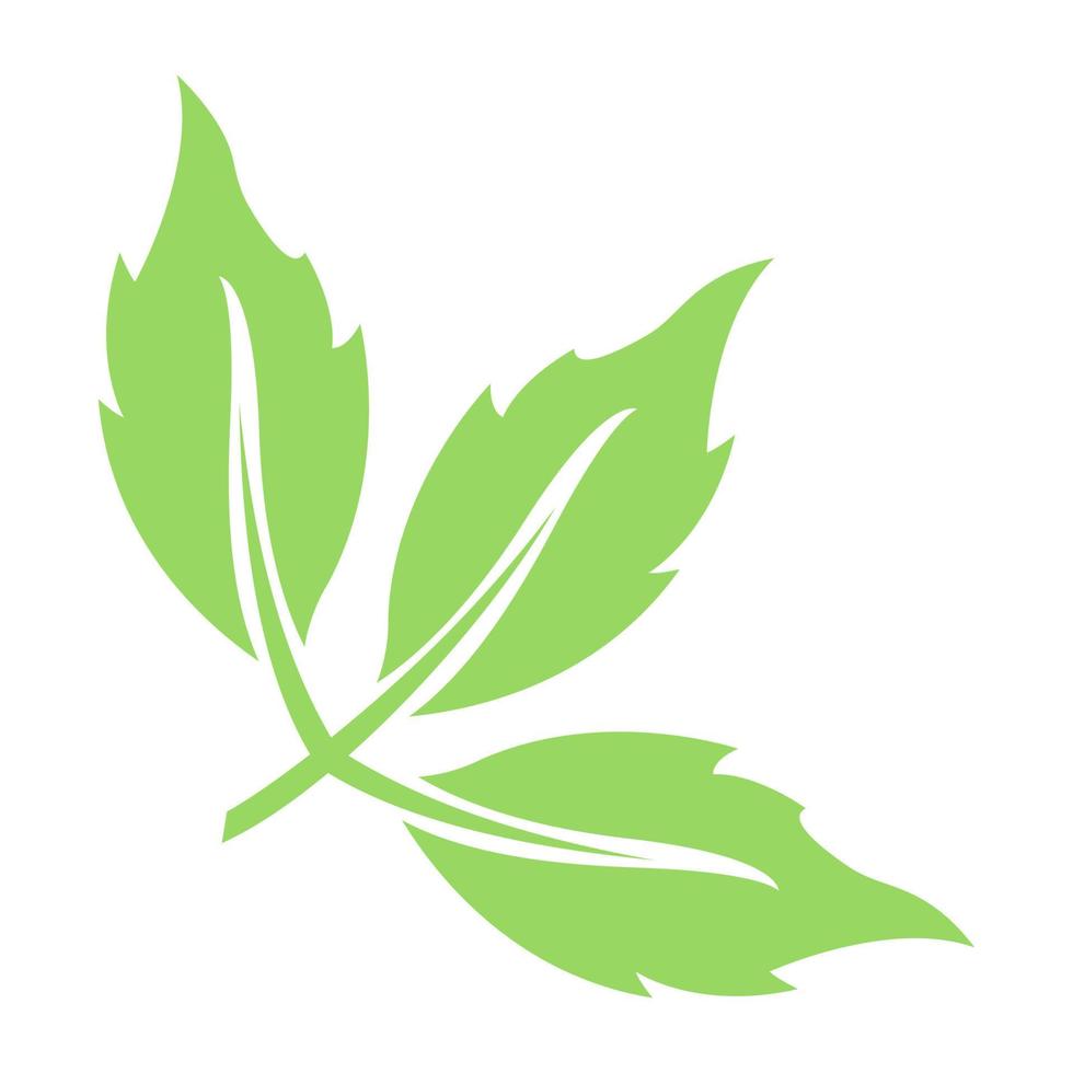 Tripartite Leaf  Concepts vector