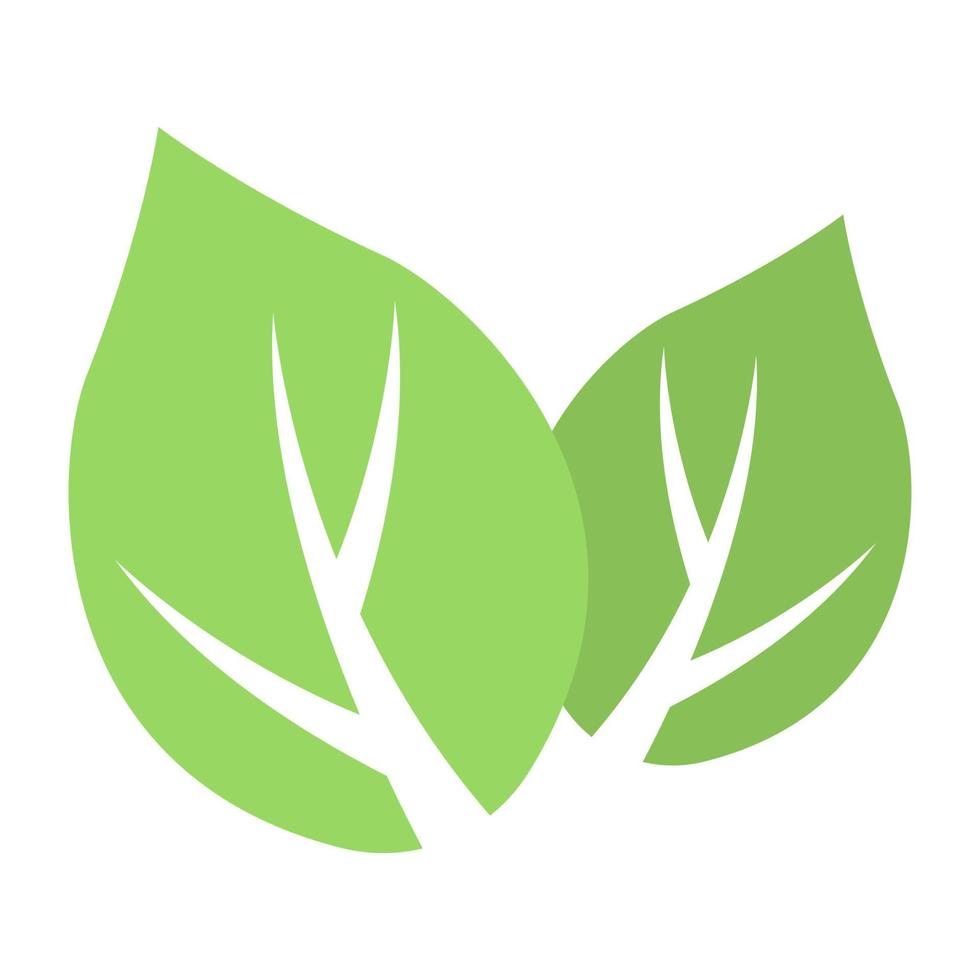 Milkweed Leaves Concepts vector