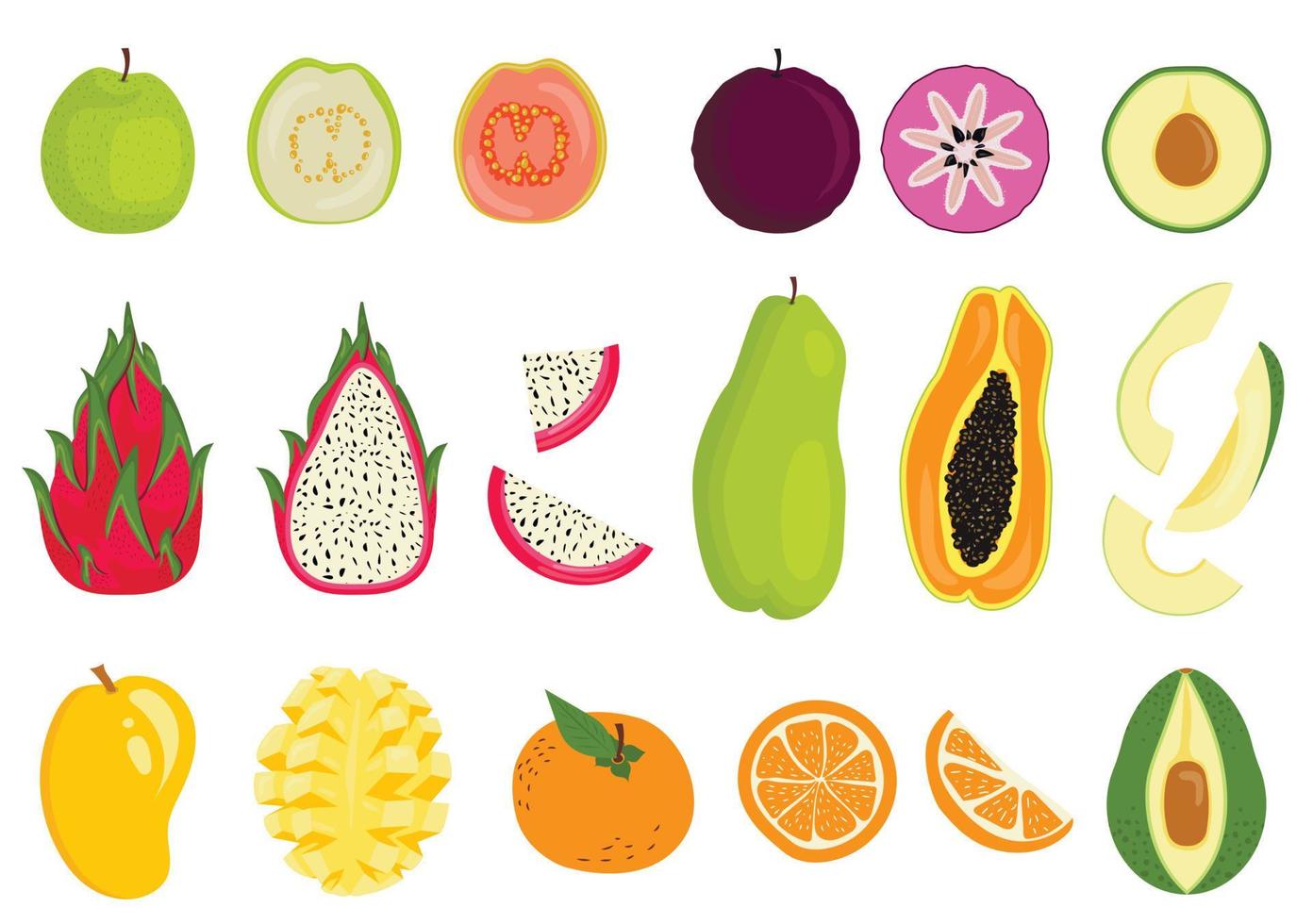 Collection of exotic tropical fruits, whole and cut. Star apple, guava, avocado, dragon fruit, mango, papaya, orange. Flat style vector