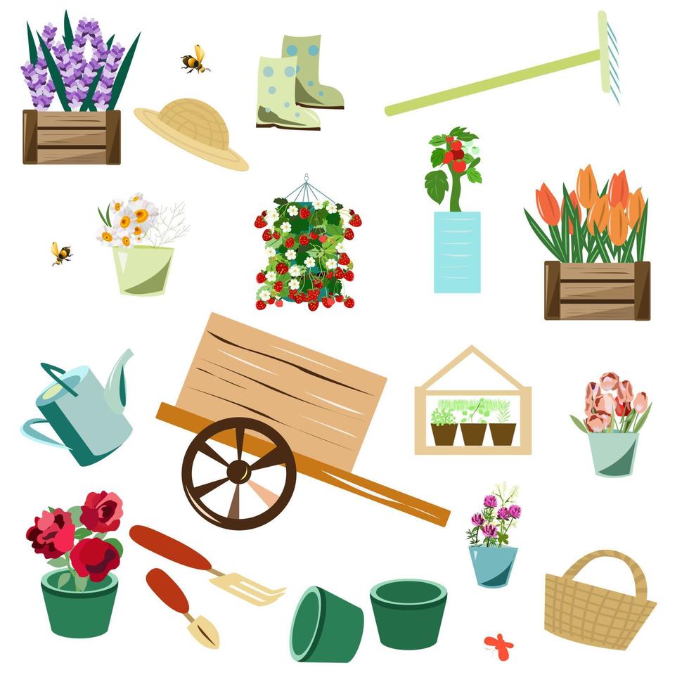 Set of garden tools and seedlings of vegetables and flowers vector