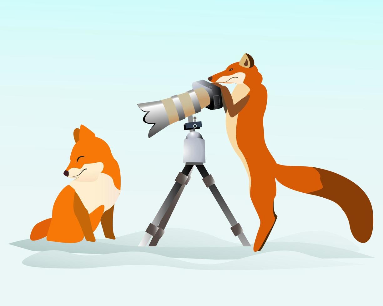 one Fox photographed another winter vector