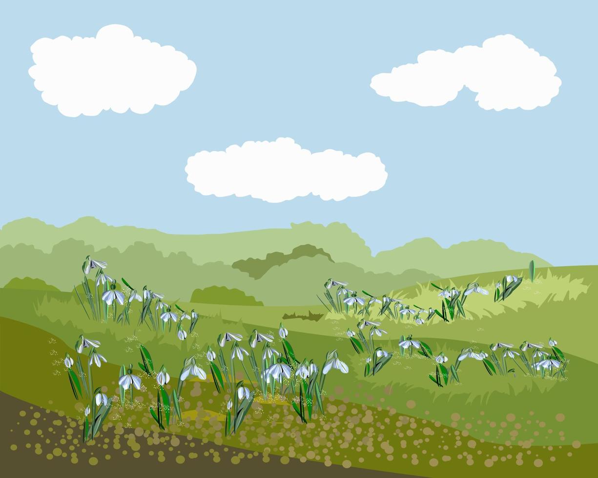 Spring meadow with snowdrops and clouds vector