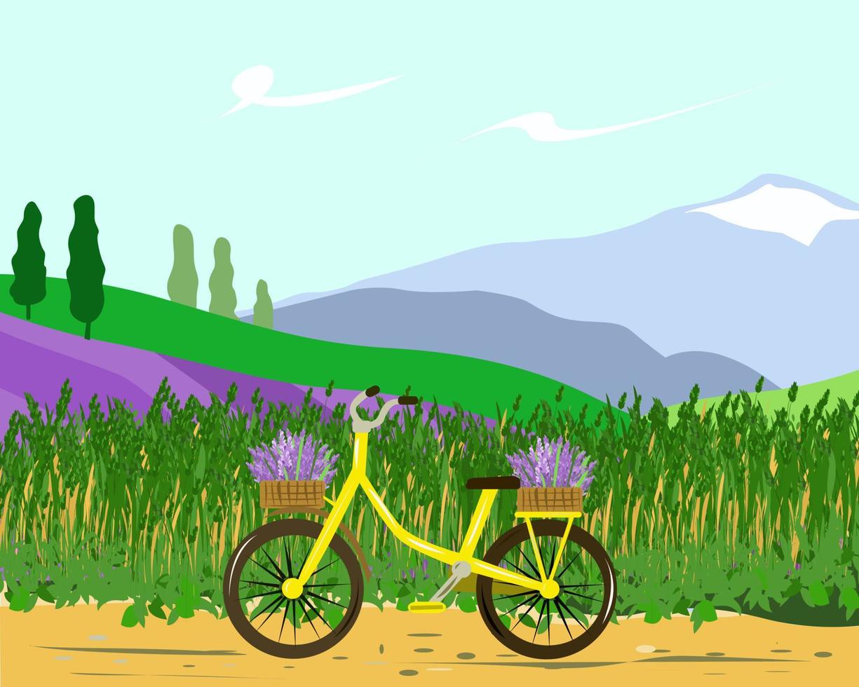 paisaje de montañas y campos de lavanda con una bicicleta vector