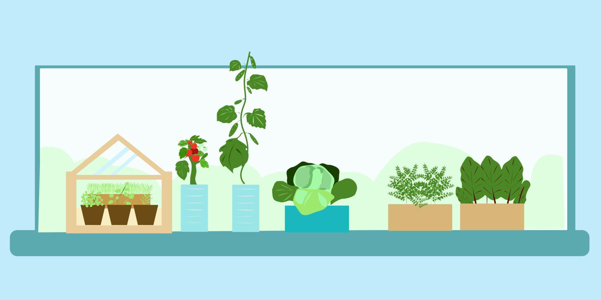 Home farm on the windowsill in the apartment vector