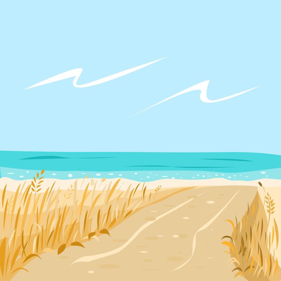 The sandy shore of the beach and the road to the sea vector