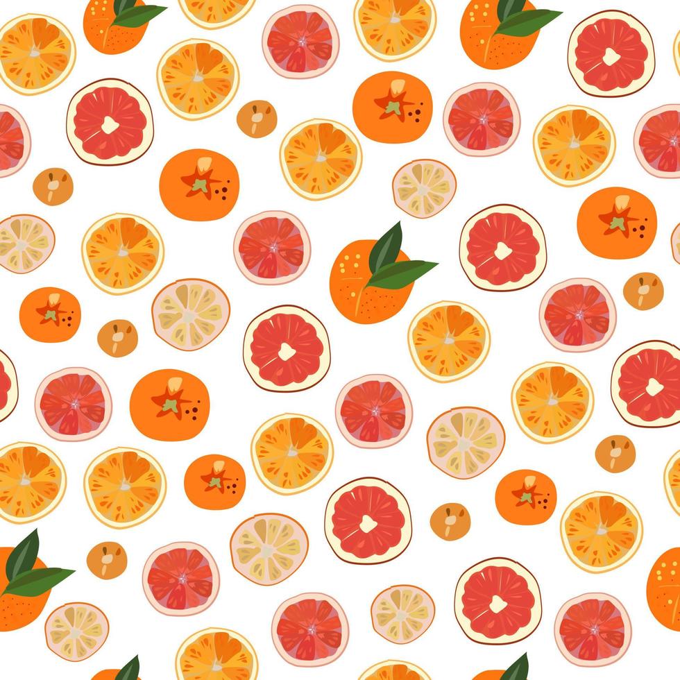 Pattern of citrus fruits oranges and grapefruits vector