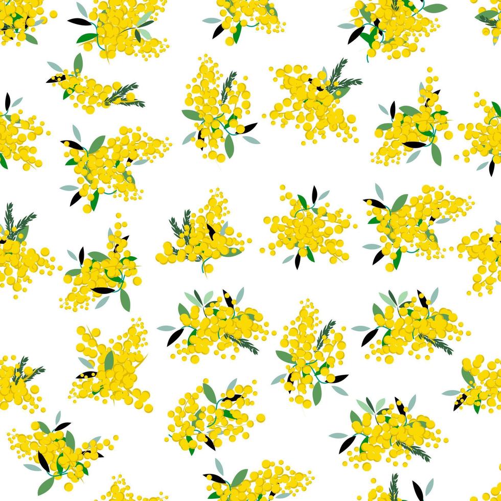 Mimosa branches pattern on international women's day vector