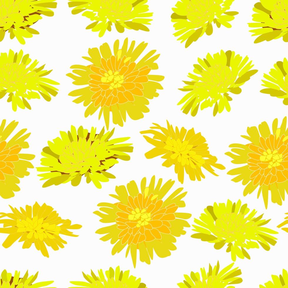 patrón de flores de primavera diente de león y tussilago vector