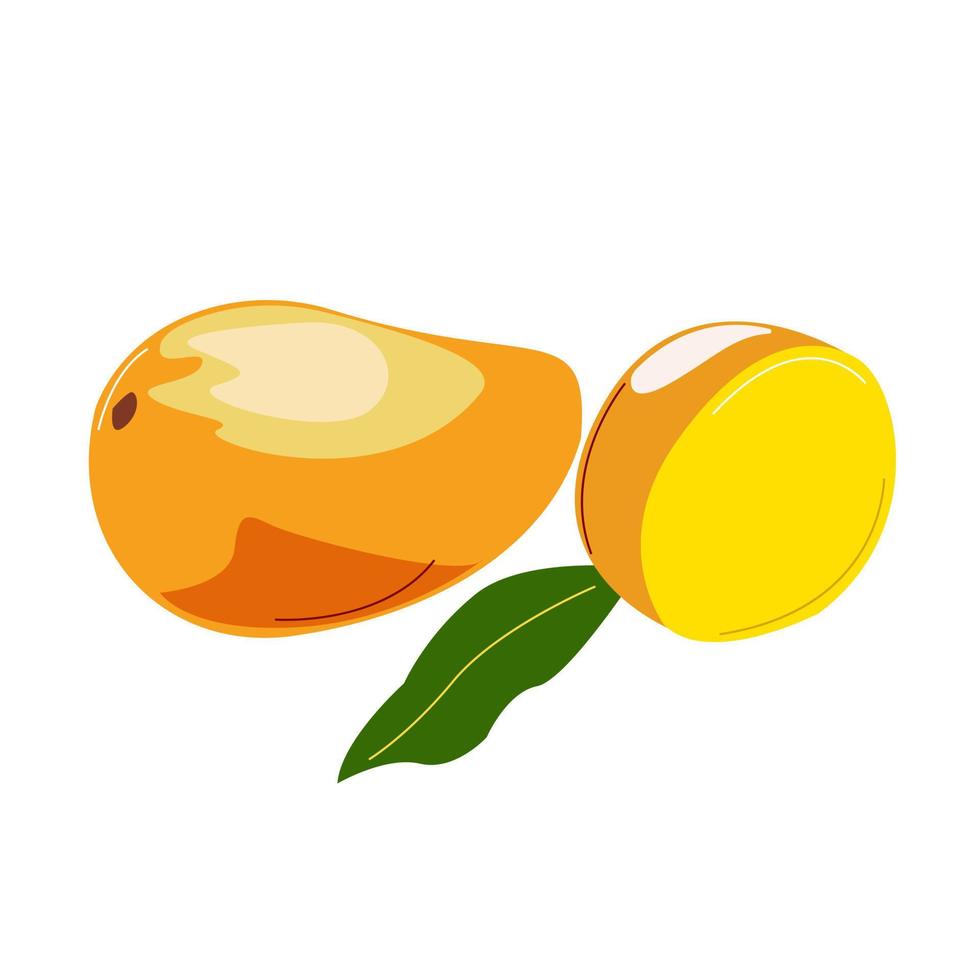 mango dulce fruta madura amarilla sobre un fondo blanco. vector