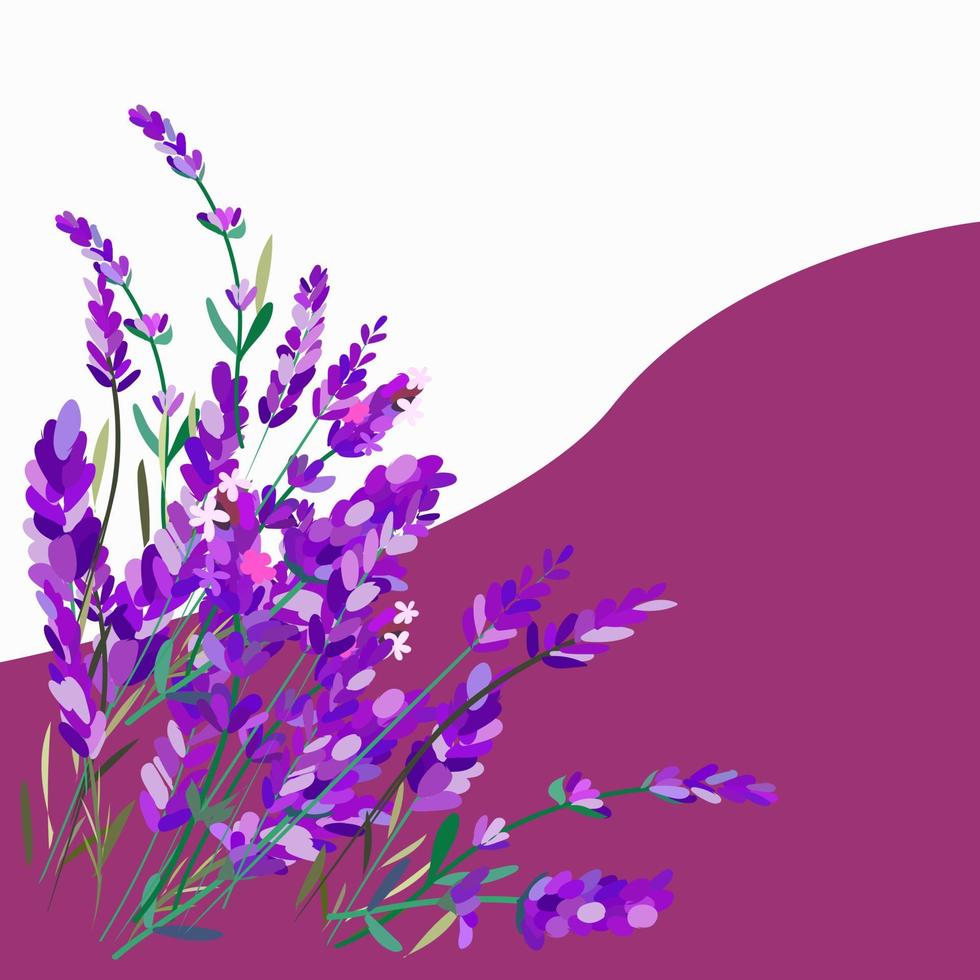 fondo con flores y ramitas de lavanda vector