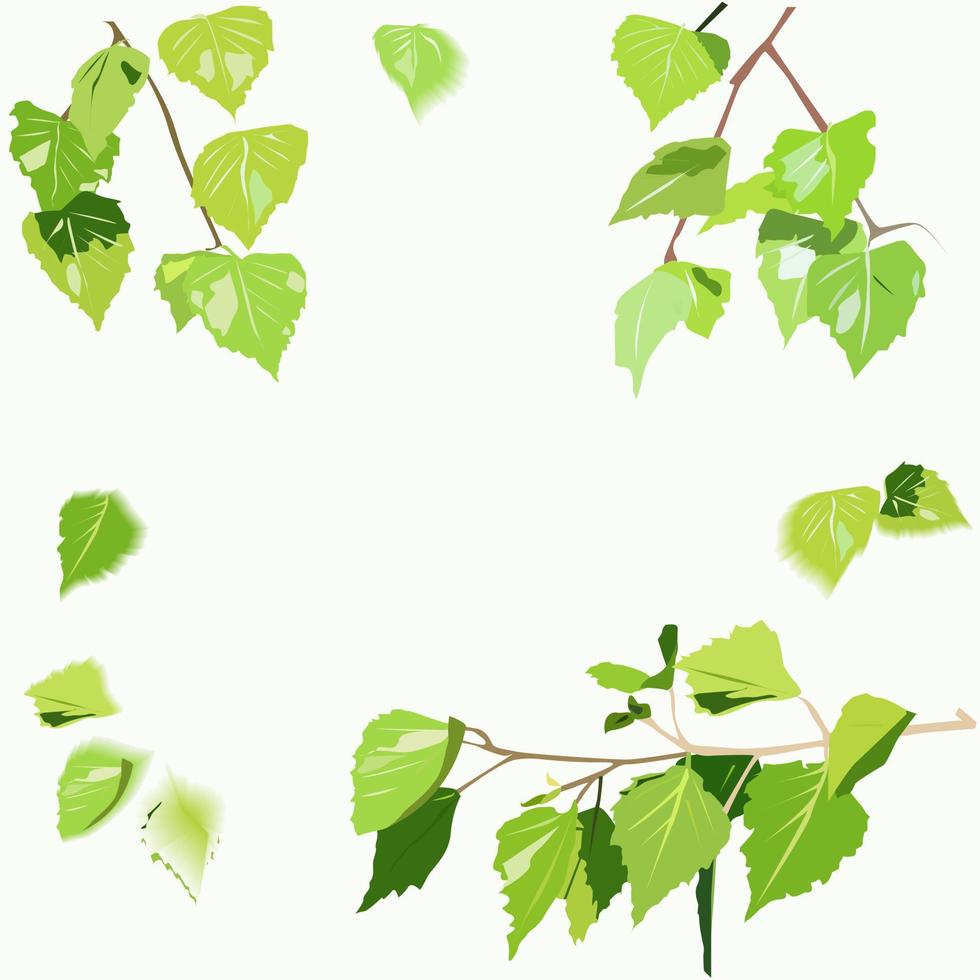 Background image with birch leaves vector