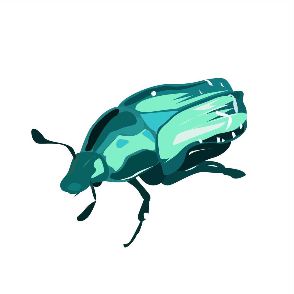 May bug shimmering on a white background vector