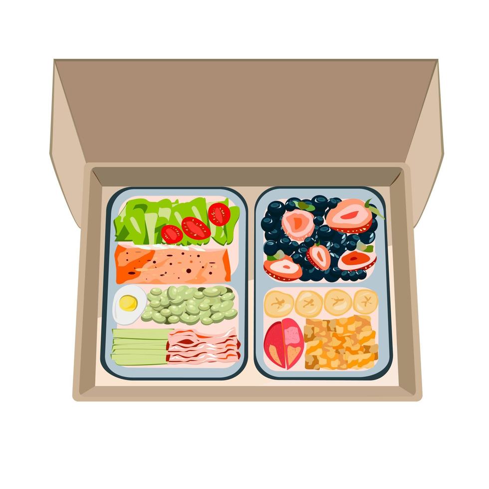 Box with ready-made food for home vector