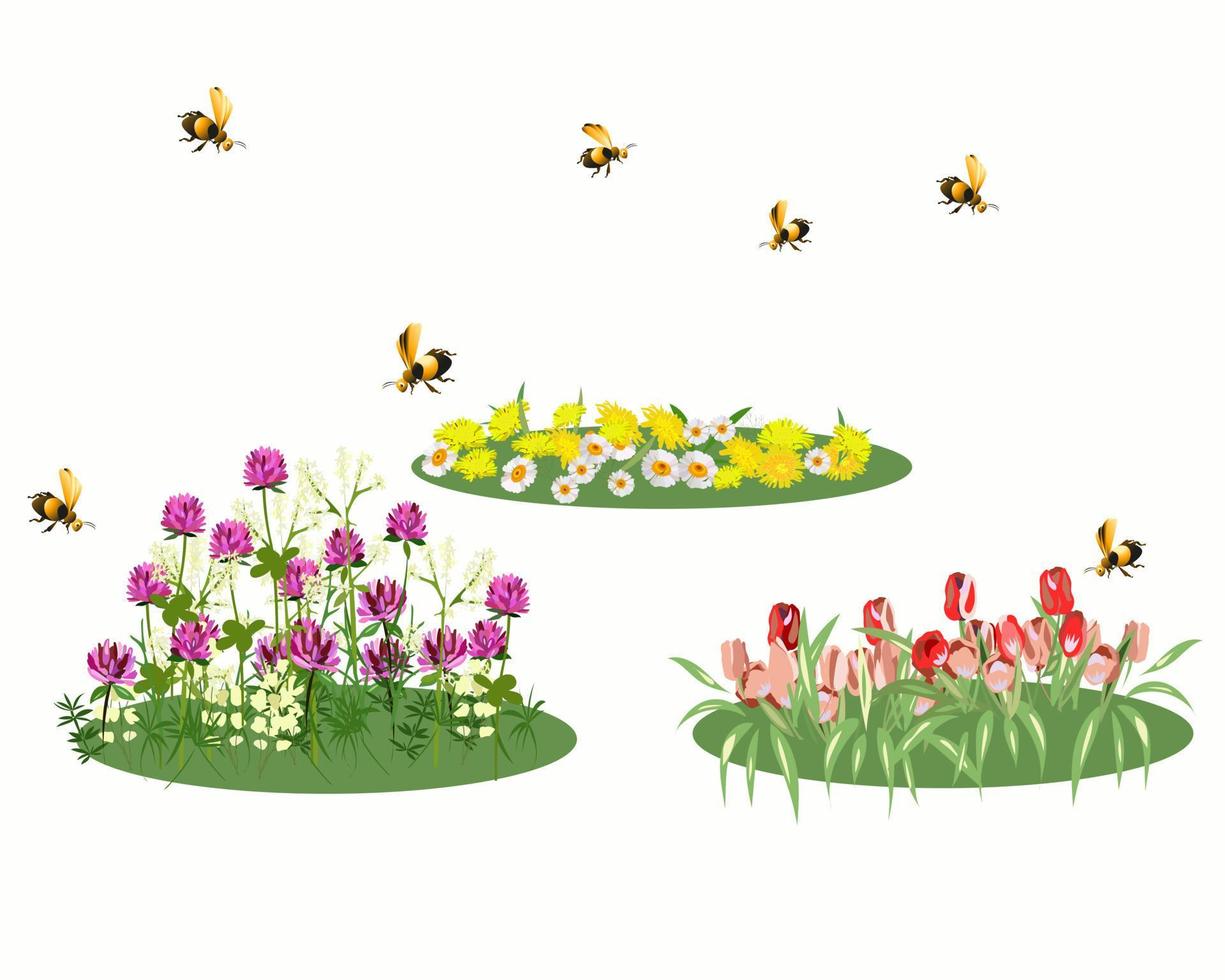 Flower beds with flowers and cute bees in the spring vector