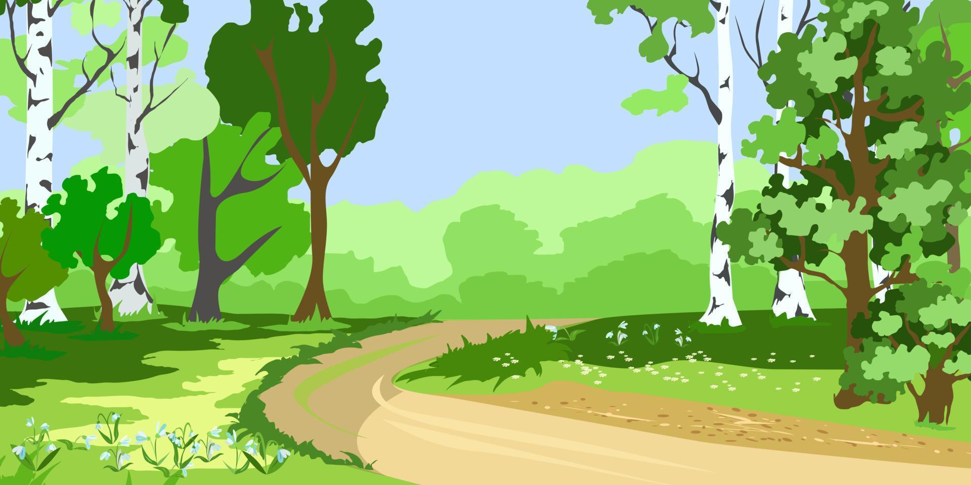 paisaje con carretera y campanillas de invierno y abedules en primavera vector