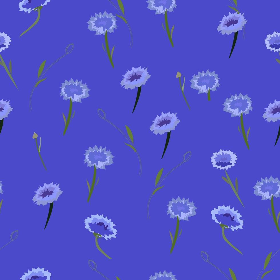 Pattern of cornflowers on a blue background vector