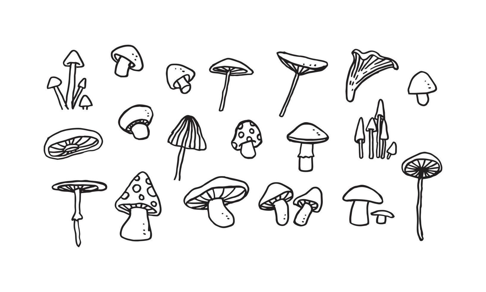 set of hand drawn illustration of fungus. simple and minimal vector design for element decoration. pencil sketch drawing in graphic.
