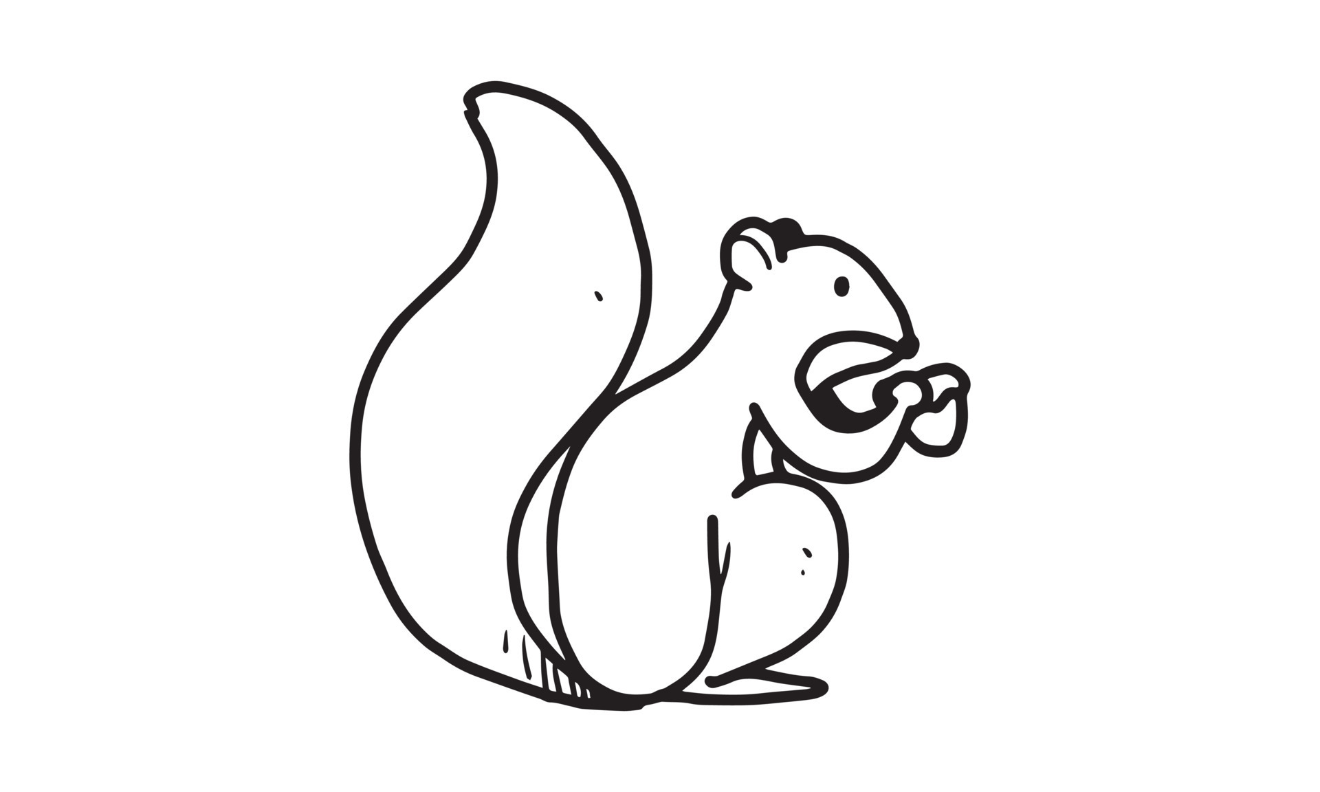 a squirrel eat nut on the ground illustration. colorless cartoon for