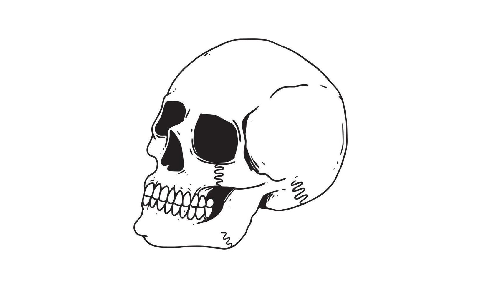 skull side view isolated on white background. outlined cartoon drawing of creepy, gothic, death icon for tattoo, poster, halloween theme, etc. 4677920 Vector Art at Vecteezy skull side view isolated on white background. outlined cartoon drawing of creepy, gothic, death icon for tattoo, poster, halloween theme, etc. 4677920 Vector Art at Vecteezy