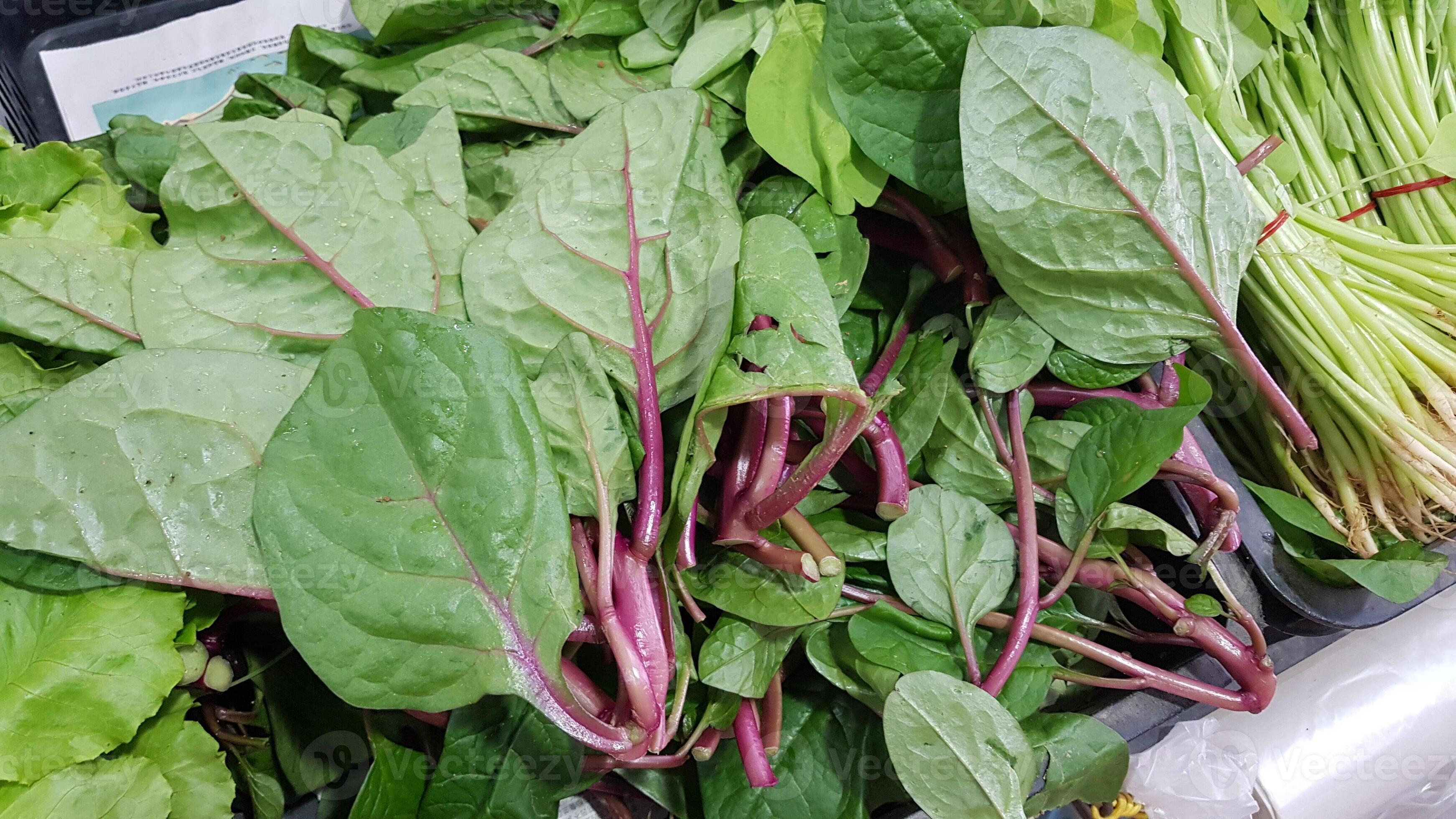 green vegetables with purple stems in containers in the market 4679439 Stock Photo at Vecteezy