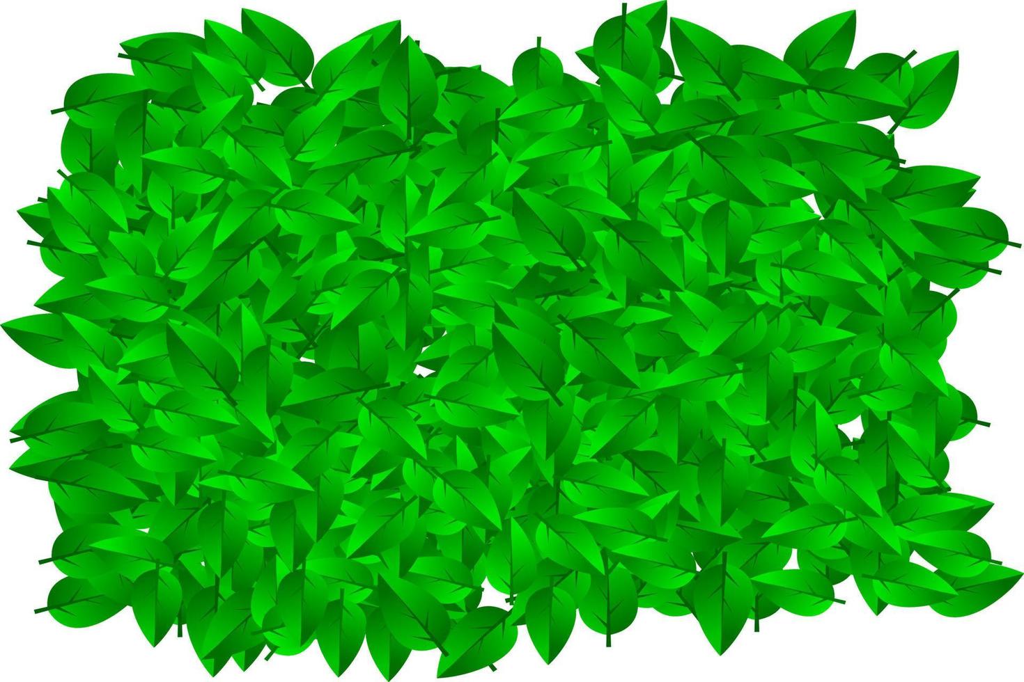 Green leaves texture vector
