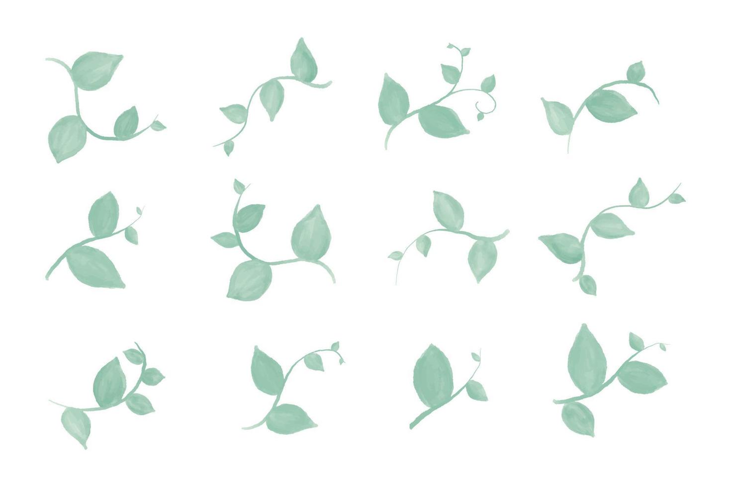 set collection green branch with leaves. Watercolor Leaves Green vector
