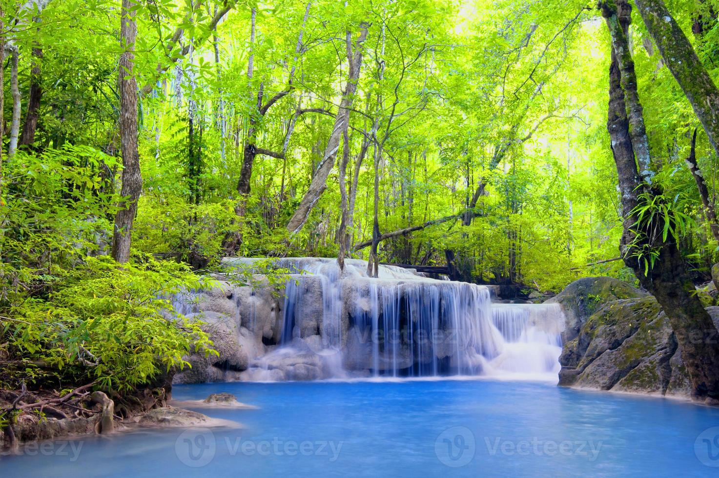 hermosa cascada panorámica hermoso bosque natural de color verde oscuro en la naturaleza. foto