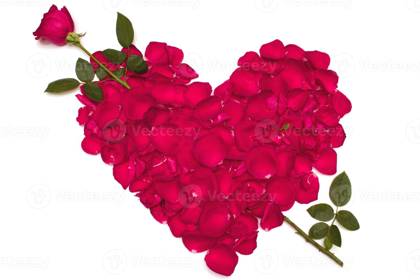 light red beautiful love flower roses and red hearts and fresh ...