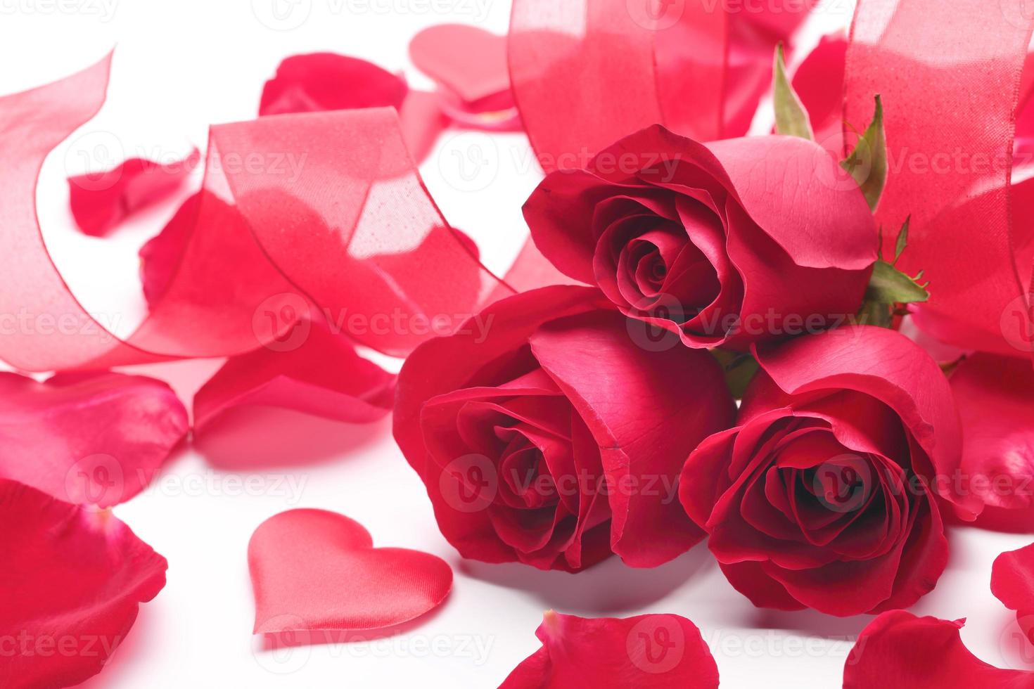 rojo claro, hermoso, amor, flor, rosas, y, corazones rojos, y, fresco, lila, flores, blanco foto