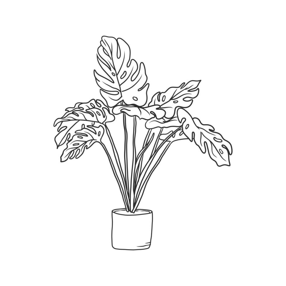 la planta de la casa ornamental en maceta. hermosa ilustración del gráfico floral para colorear, diseño de elementos, decoración y más. una ilustración dibujada a mano aislada en blanco. vector