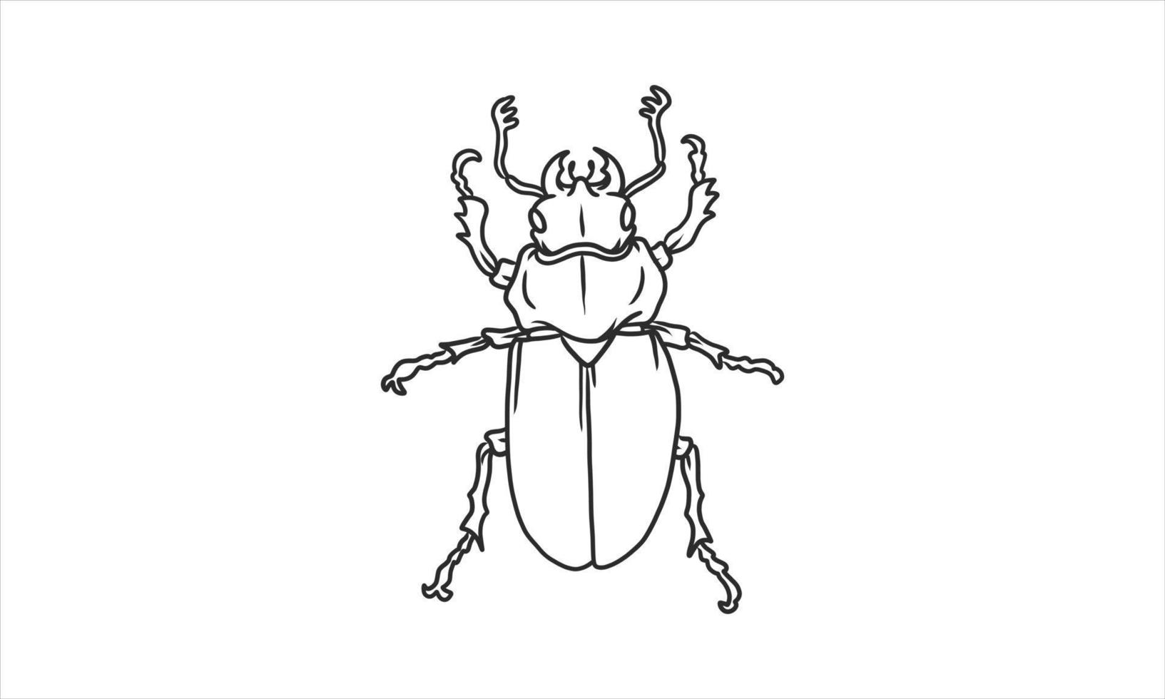 Vector lineart illustration of beetles on white background, hand drawn Japanese horned beetle bug insect sketch