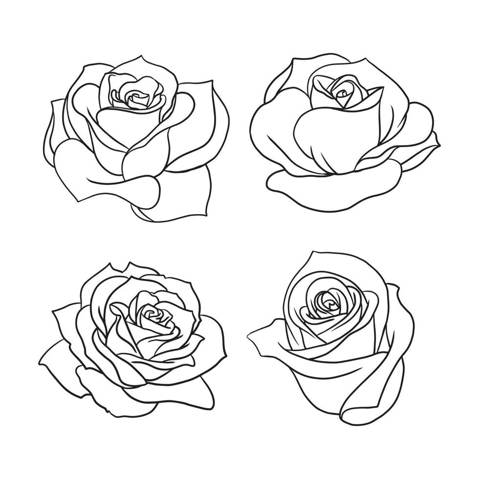 Varias ilustraciones de pétalos de rosa aisladas en blanco. rosas sin color para composición de diseño como elemento en invitaciones de boda, tarjetas de felicitación y más. vector