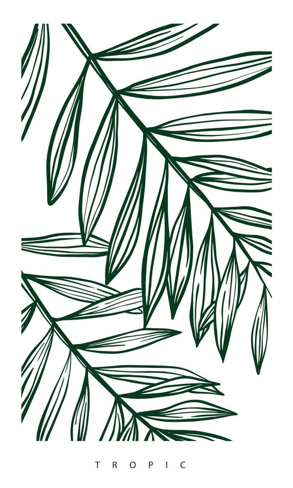 tropical leaf in green minimal outline. tropical foliage illustration. hand drawn drawing for print, poster, and postcard design. vector