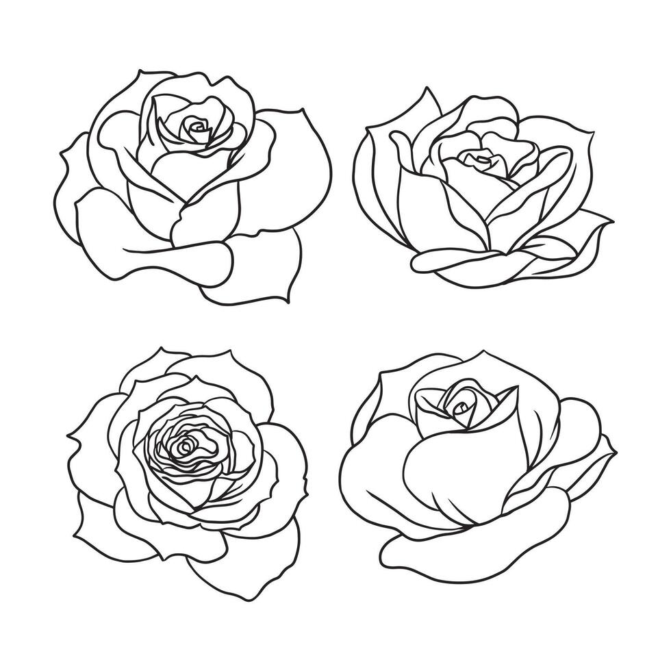 Varias ilustraciones de pétalos de rosa aisladas en blanco. rosas sin color para composición de diseño como elemento en invitaciones de boda, tarjetas de felicitación y más. vector