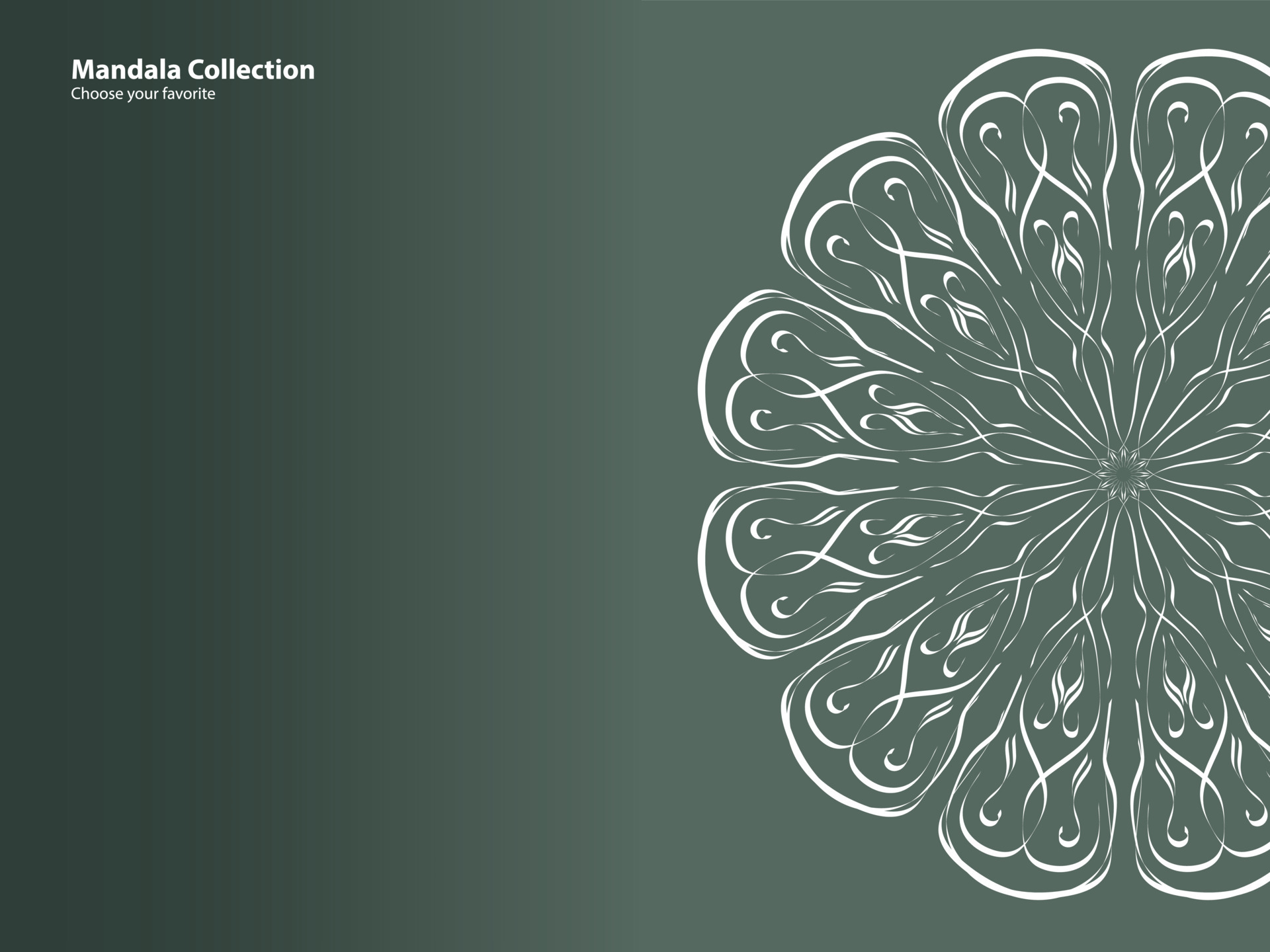 Mandala Pattern Vintage Ethnic Tribal Template Style Element Wallpaper Background Motif Circle Art Texture Print Traditional Elegant Rpund Ornament Drawing Decoration Gold Meditation Flower Asian Vector Art At Vecteezy