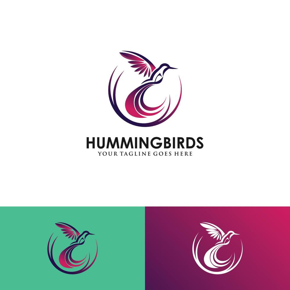 vector de diseño de logotipo de colibrí con estilos de línea y color completos